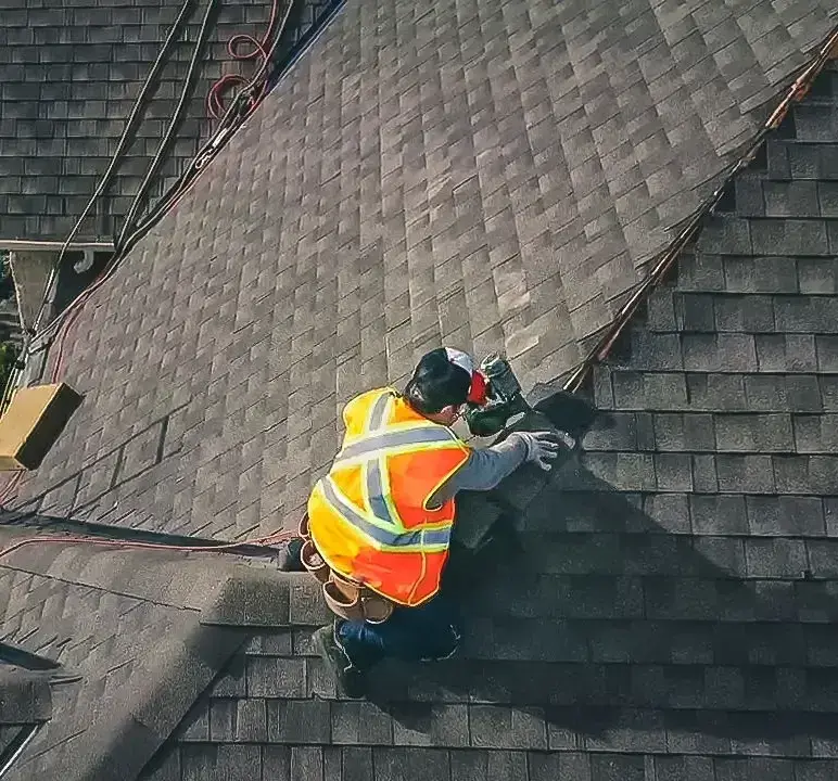 High-quality shingle roof replacement service